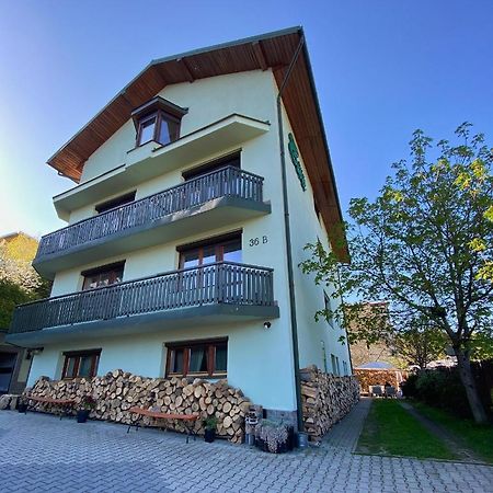 Willa Ewa Krynica-Zdrój Kültér fotó