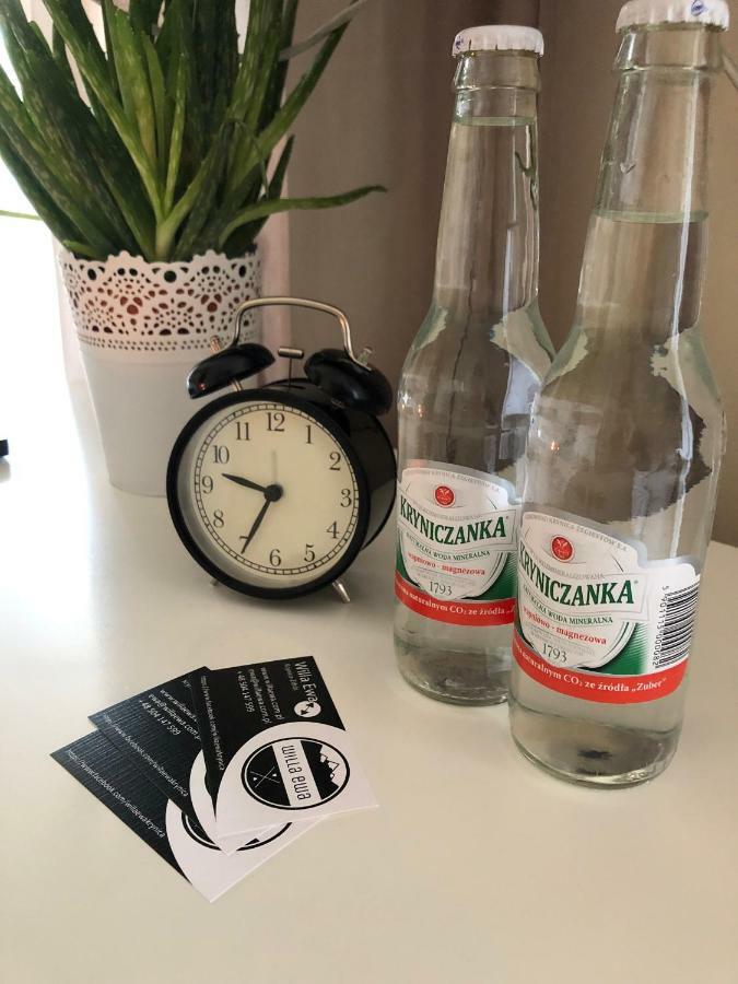 Willa Ewa Krynica-Zdrój Kültér fotó